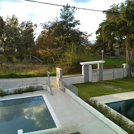 Divine Luxury טורוני